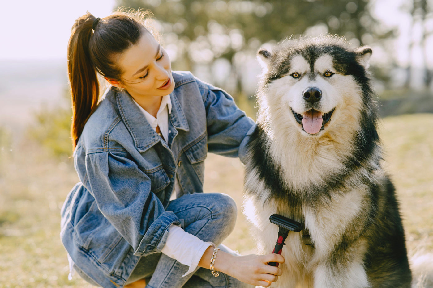 PET BRUSHES,CLIPPERS AND COMB